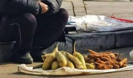 成都沙河事件吃瓜视频