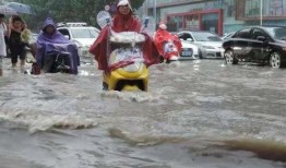 河南小孩子吃瓜事件视频,意外视频引发社会关注