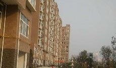 镇平县融奥星城吃瓜视频,吃瓜群众视角下的社区生活剪影