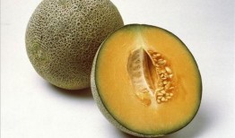 自动吃瓜视频教程,轻松掌握瓜界潮流制作技巧