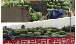 国际城吃瓜视频,揭秘网红美食背后的故事