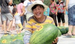 成都沙河事件吃瓜视频