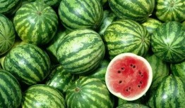 老表卖西瓜吃瓜视频,一场别开生面的吃瓜盛宴