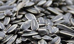 大瓜视频吃瓜子,解锁吃瓜新姿势，一起畅享瓜子盛宴