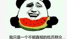 吃瓜盘点爆笑的视频