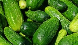 吃生瓜蔬菜直播视频,生瓜蔬菜新鲜吃法大揭秘