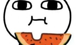 完整回应吃瓜视频大全最新,最新热门内容盘点