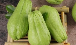 大弟吃金佛手瓜视频,趣味横生美食体验