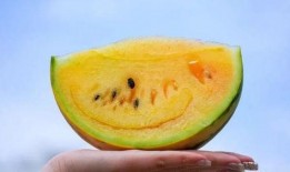 手撕网红吃瓜视频,手撕幕后真相，带你走进网红圈