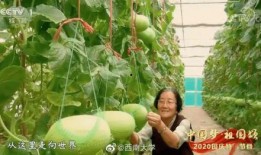 吃瓜中国入口是真的吗视频,视频真相大起底