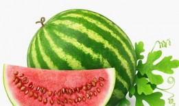 日本人吃黄心瓜视频网站,黄心瓜的神秘魅力