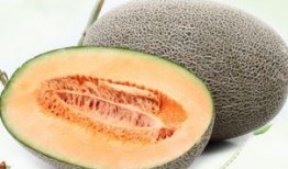 美女海底捞吃哈密瓜视频,哈密瓜成网红新宠