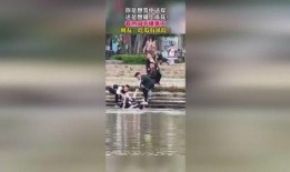 下雪吃瓜群众视频大全集,下雪吃瓜群众欢乐视频大盘点