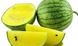 日本人吃黄心瓜视频网站,黄心瓜的神秘魅力