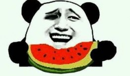 唐大仙吃瓜视频大全最新,揭秘娱乐圈幕后故事