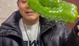 北艺最新吃瓜视频,揭秘校园风云背后的真相