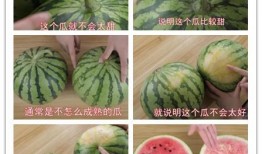 漂亮吃瓜视频大全集,漂亮吃瓜视频大全集精彩回顾