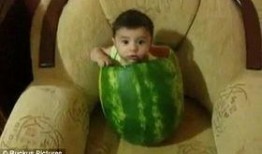 吃瓜视频都是什么,网络舆论场中的热点追踪与娱乐风向标