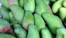 海口特殊吃瓜视频,一场视觉与味觉的双重盛宴