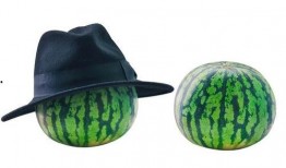 绿色帽子吃瓜视频,揭秘网络恶搞背后的真相与反思