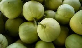 小米和甜瓜吃瓜视频,跨界合作新篇章