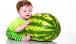 宝宝吃蒲瓜视频教程大全,视频教程大全，轻松学做营养美味