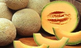 给外国婆婆吃哈密瓜视频,感受中国甜蜜滋味