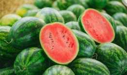 自动吃瓜视频教程,轻松掌握瓜界潮流制作技巧