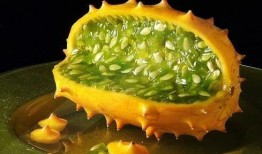 动物吃角瓜视频大全,动物们的独特吃瓜体验