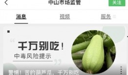 葫芦瓜要放糖吃吗视频,糖醋葫芦瓜，美味升级！