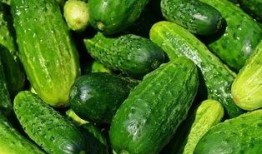 吃瓜视频名字叫什么,揭秘“吃瓜视频”背后的热门话题与娱乐焦点