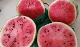 老外吃麒麟瓜好吗图片视频,新奇体验与味蕾碰撞