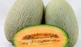 吃哈密瓜视频室内,甜蜜滋味尽享其中