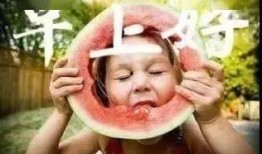 清晨吃瓜的视频,短视频带你领略夏日清新滋味