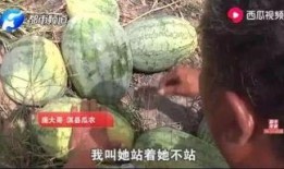 泰华最新吃瓜事件视频,揭秘幕后真相，网友热议不断