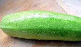 茭瓜不适合哪种人吃呢视频,哪些人群不宜食用