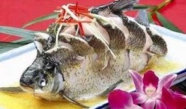 淡水瓜鱼敢吃吗视频,敢吃吗？视频带你探索神秘水生生物