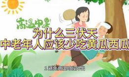 两个老人吃瓜视频大全下载,两位长者共享欢乐时光，吃瓜视频大全下载回顾