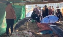 河南小孩子吃瓜事件视频,意外视频引发社会关注