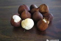 带篮子吃瓜视频,揭秘网络短视频的趣味与魅力