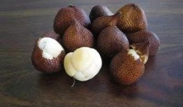 带篮子吃瓜视频,揭秘网络短视频的趣味与魅力