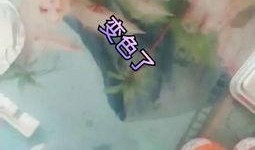 吃瓜口红视频大全