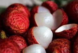 荔枝吃瓜视频大全,趣味横生的欢乐时光回顾