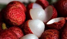 荔枝吃瓜视频大全,趣味横生的欢乐时光回顾