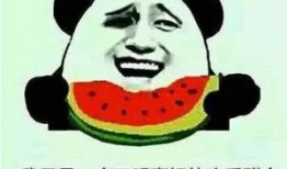 吃瓜视频名字叫什么,揭秘“吃瓜视频”背后的热门话题与娱乐焦点