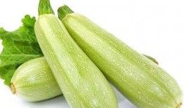 茭瓜不适合哪种人吃呢视频,哪些人群不宜食用