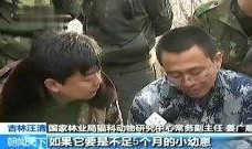 绝对吃瓜真实视频大全