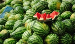 蚌埠吃瓜事件视频最新,一场网络热议的瓜田奇谈