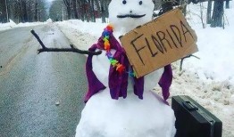 带你吃瓜讲雪人视频播放,吃瓜视频中的冰雪奇缘