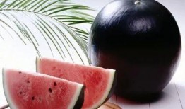 卖水果吃瓜视频,揭秘卖水果吃瓜视频背后的甜蜜经济